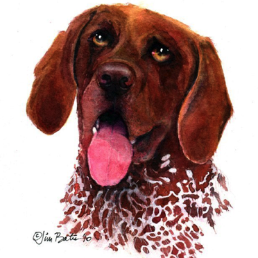 German Shorthair Pointer
$210
12 x 12” 
Black wood Frame